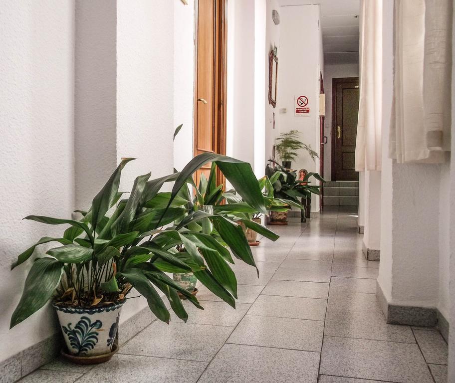 Pension Ciudad Navarro Ramos Granada Eksteriør billede